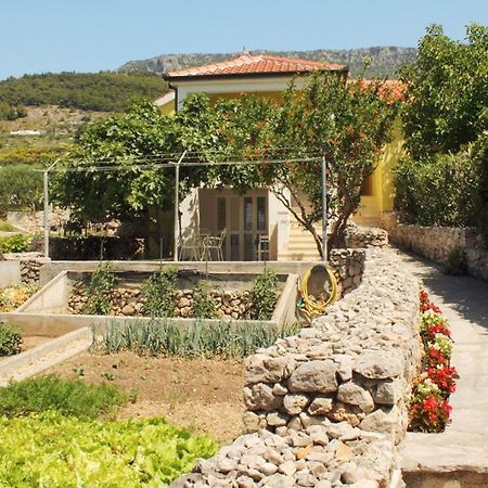 Apartments Nejasmic - Little House For Peaceful And Domestic Vacation ボル エクステリア 写真