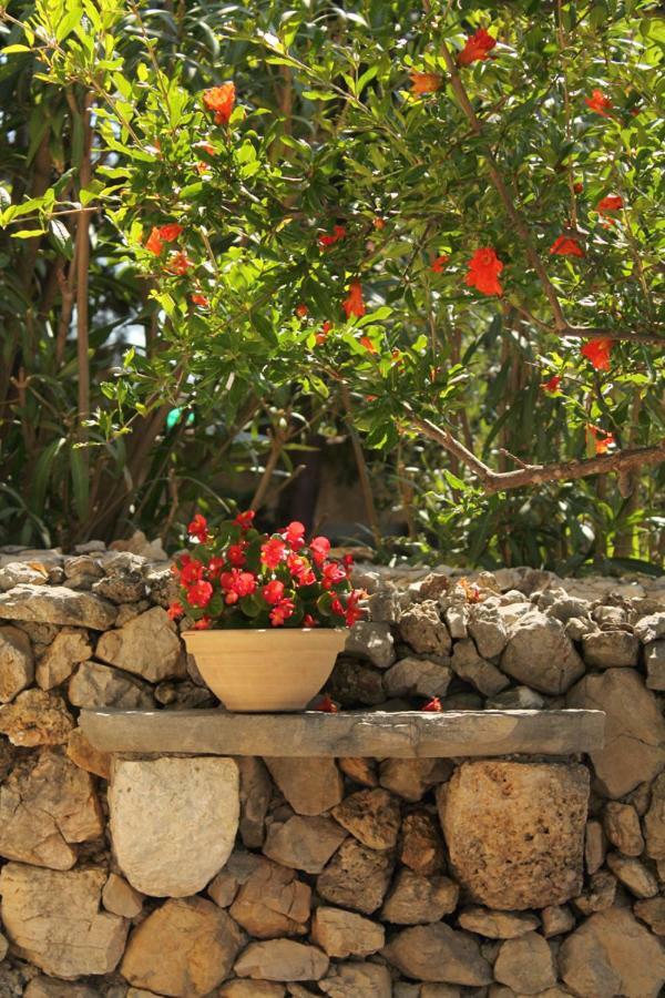 Apartments Nejasmic - Little House For Peaceful And Domestic Vacation ボル エクステリア 写真