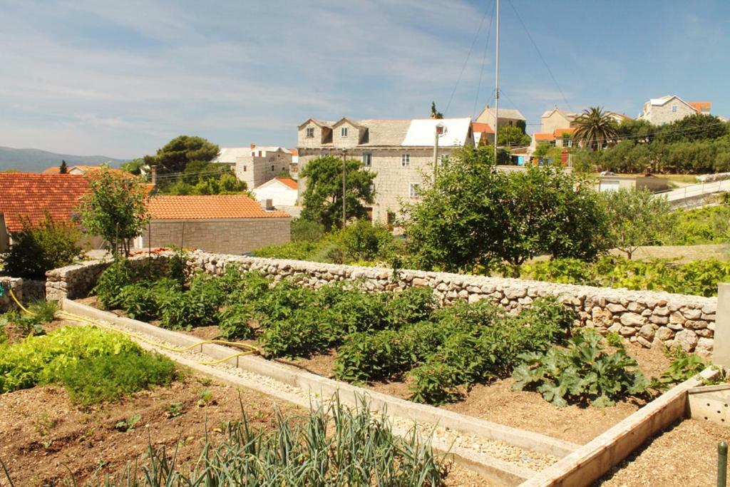 Apartments Nejasmic - Little House For Peaceful And Domestic Vacation ボル エクステリア 写真