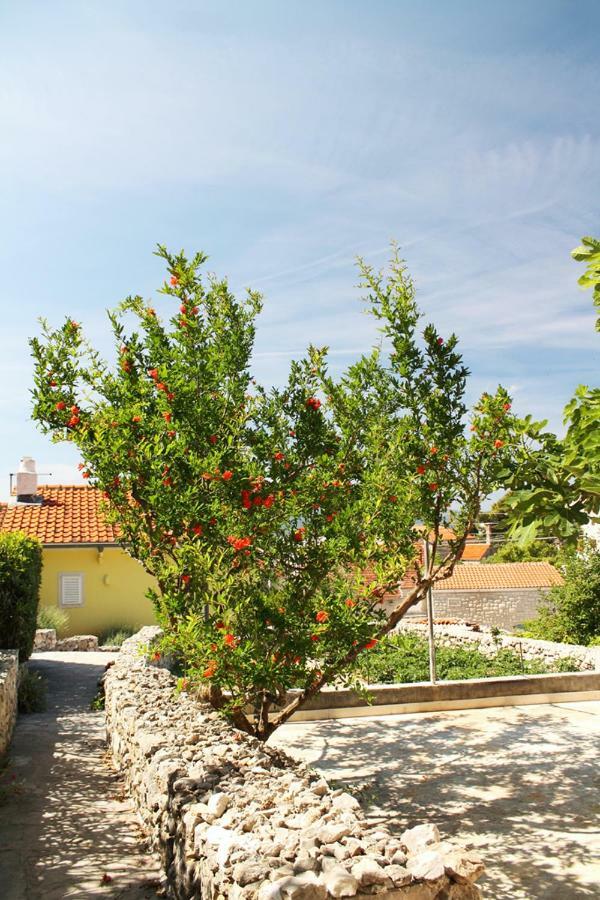 Apartments Nejasmic - Little House For Peaceful And Domestic Vacation ボル エクステリア 写真